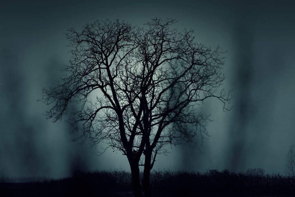 Alone. Bare tree, dark setting